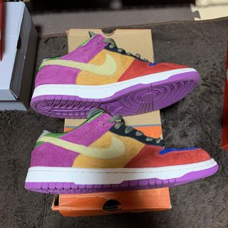 2001 NIKE DUNK LOW PRO B VIOTECH US8 新品