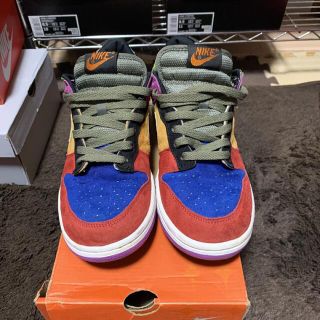 2001 NIKE DUNK LOW PRO B VIOTECH US8 新品