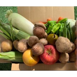 ★60サイズ★ 無農薬新鮮野菜果物セット 10種類セット(野菜)