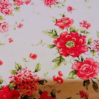 ローラアシュレイ(LAURA ASHLEY)のローラアシュレイピロケース 50cm×70cm(シーツ/カバー)