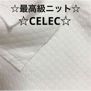 セレク(CELEC)の233c☆ＣELEＣ☆生地☆ニットキルト☆(生地/糸)