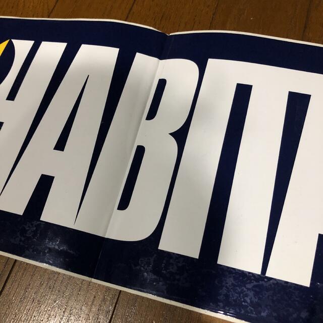 Habitat(ハビタット)の当時物HABITAT　特大ステッカースケボー　スノボー　スケーターsk8 スポーツ/アウトドアのスポーツ/アウトドア その他(スケートボード)の商品写真