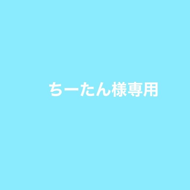 専用 エンタメ/ホビーのタレントグッズ(スポーツ選手)の商品写真