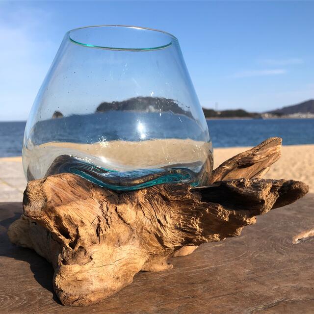 流木ガラス オブジェXSr 硝子 花瓶 金魚鉢 ガーデニング テラリウム