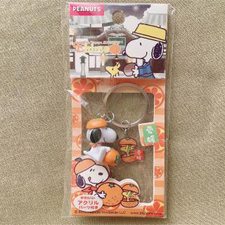 スヌーピー(SNOOPY)の【限定】SNOOPY ご当地キーホルダー(キャラクターグッズ)