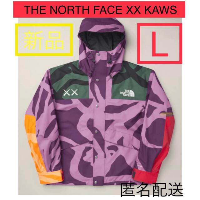 THE NORTH FACE - THE NORTH FACE XX KAWS MOUNTAIN JACKET