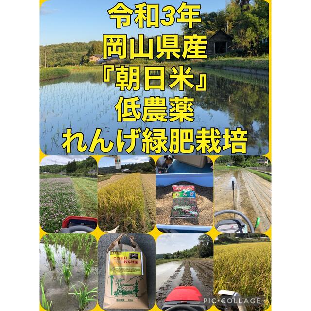 令和3年岡山県産　低農薬『れんげ緑肥栽培』『朝日米』玄米10キロ　送料無料
