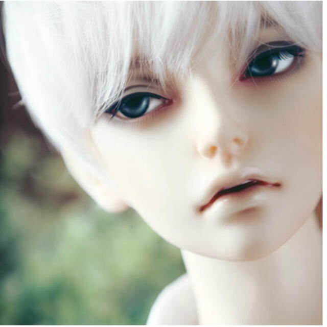 DOLK RSDOLL ORVIL