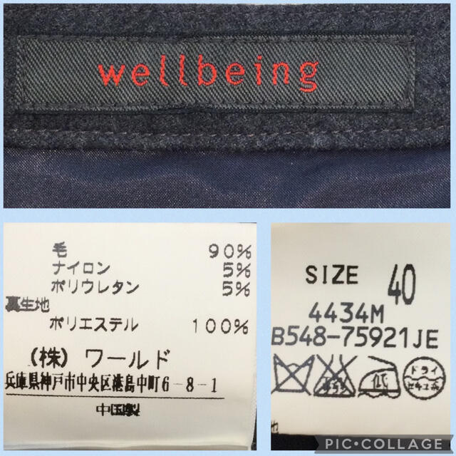 Wellbeing(ウェルビーイング)のワールド　ウェルビーイング　ロングスカート  グレー　40 レディースのスカート(ロングスカート)の商品写真