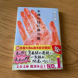 木洩れ日に泳ぐ魚(その他)