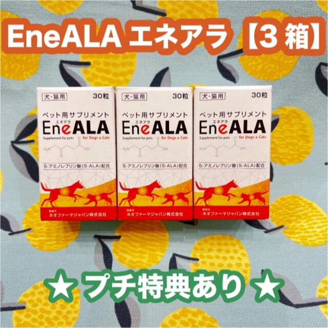 エネアラ 犬猫用 30粒 3箱〈おまけ付き〉の通販 by ミーナ＊。｜ラクマ