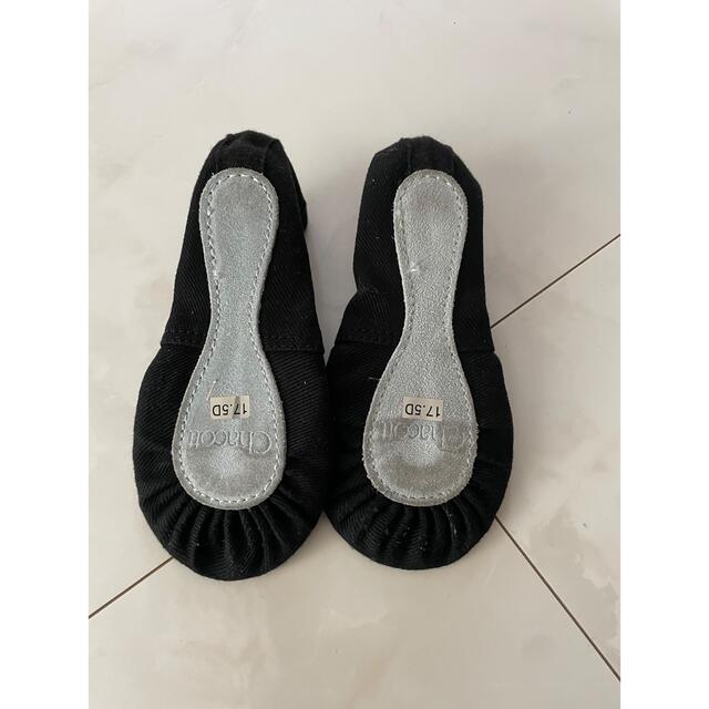 買物 チャコット バレエシューズ 17.5 aaramrodrigues.com.br