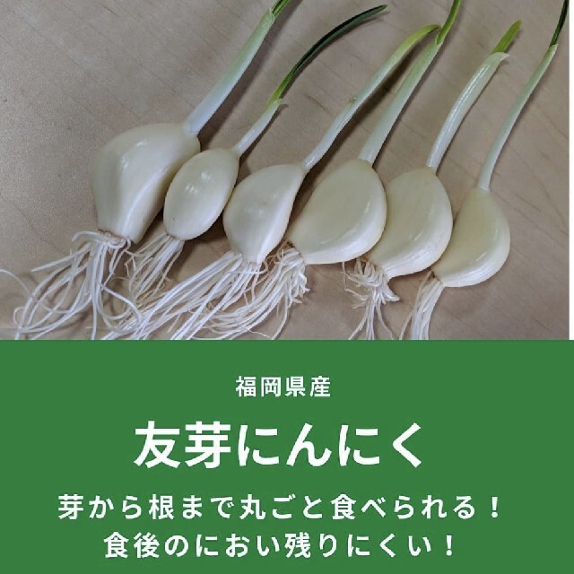 福岡県産友芽にんにく100本 食品/飲料/酒の食品(野菜)の商品写真