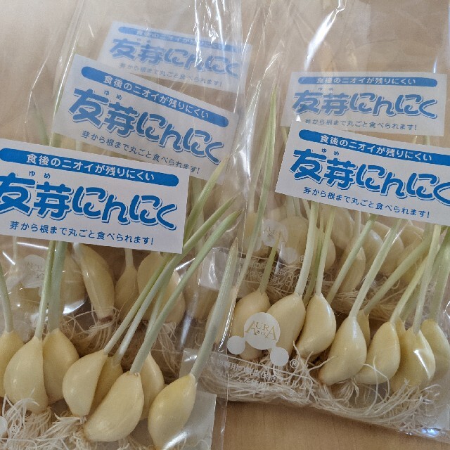 福岡県産友芽にんにく100本 食品/飲料/酒の食品(野菜)の商品写真