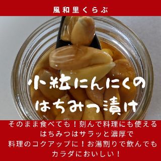 友芽にんにく【てんてん様専用】(野菜)