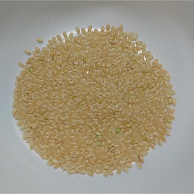 seimama様専用 無農薬コシヒカリ無洗米10kg、玄米10kg 計20kg seimama様専用 無農薬コシヒカリ無洗米10kg、玄米10kg 計20kg