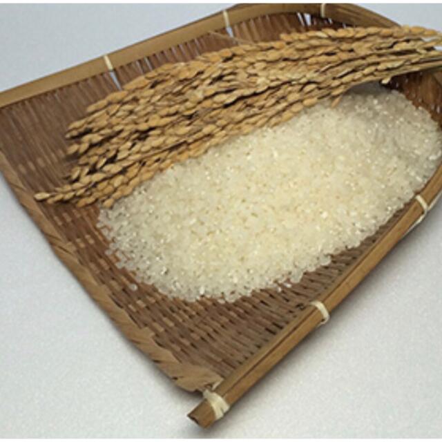 seimama様専用 無農薬コシヒカリ無洗米10kg、玄米10kg 計20kg seimama様専用 無農薬コシヒカリ無洗米10kg、玄米10kg 計20kg