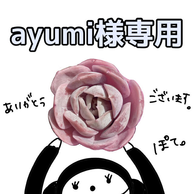 ayumi様専用ページの通販 by ぽて｜ラクマ