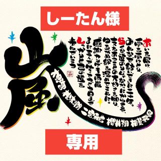 アラシ(嵐)の嵐 オリジナルポストカード お名前ポエム 5枚 セット(その他)