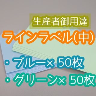 ラインラベル 中 100枚 緑 青 園芸ラベル カラーラベル 多肉植物(その他)