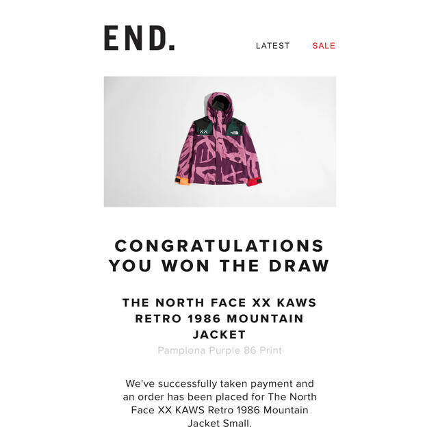 THE NORTH FACE(ザノースフェイス)のTHE NORTH FACE  KAWS 1986 MOUNTAINJACKET メンズのジャケット/アウター(マウンテンパーカー)の商品写真