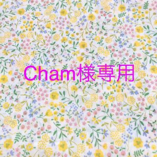 【Cham様専用】巾着２点　オーダーページ(外出用品)