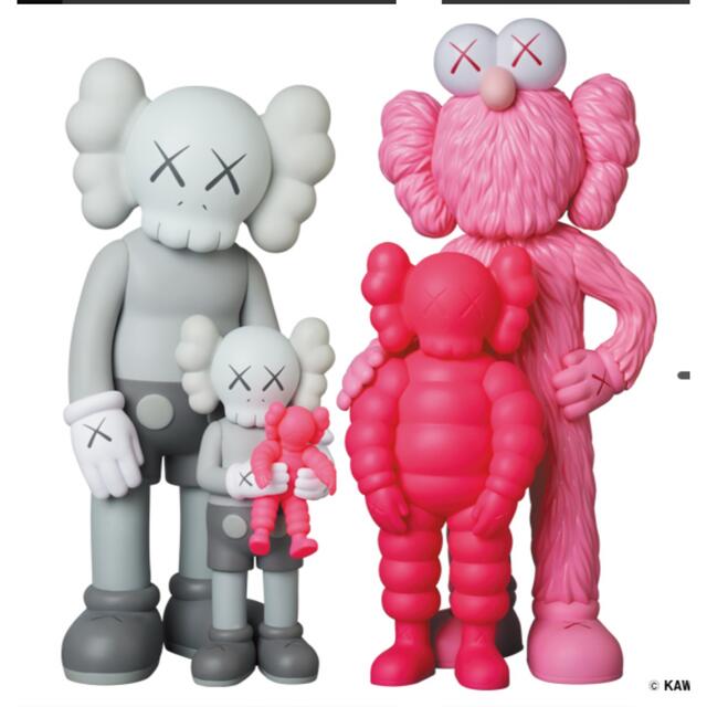 KAWS FAMILY GREY/PINK/FLUORO PINKカリモク