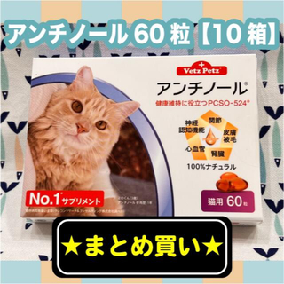 アンチノール　猫用　60粒　10箱セット(猫)