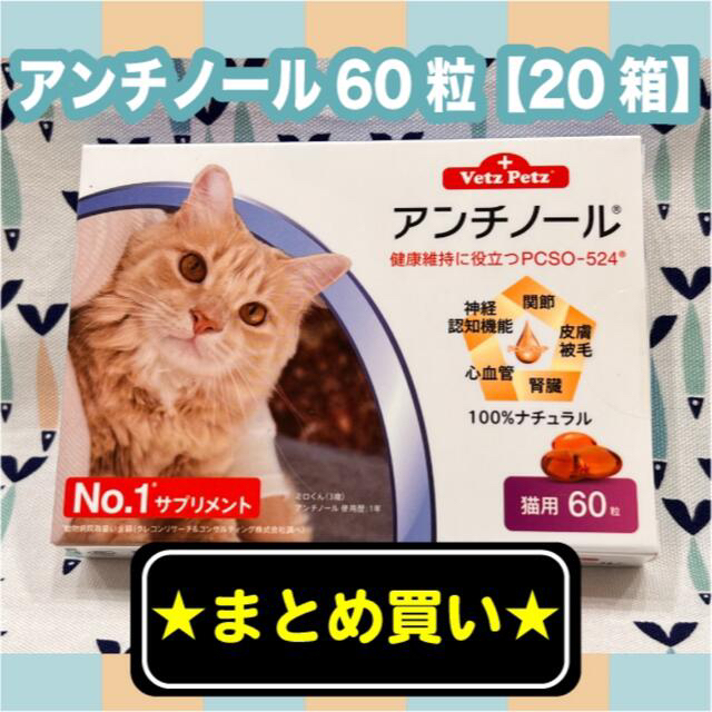 アンチノール　猫用　60粒　20箱セット その他のペット用品(猫)の商品写真