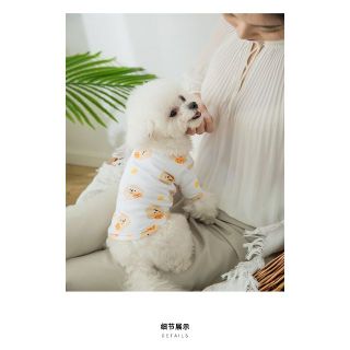 犬服【１枚のみ】くまさんシャツ　Ｌ　新品　可愛いペット服(犬)