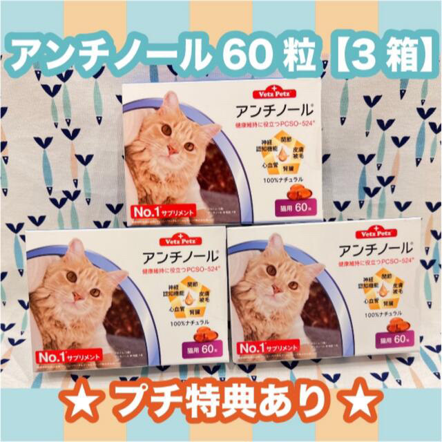 その他アンチノール　猫用　60粒　3箱〈おまけ付き〉