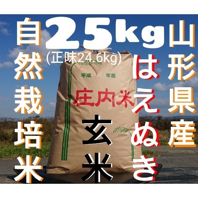 自然栽培 無農薬 氷温熟成 はえぬき４年産 山形県産 庄内米 玄米25kg