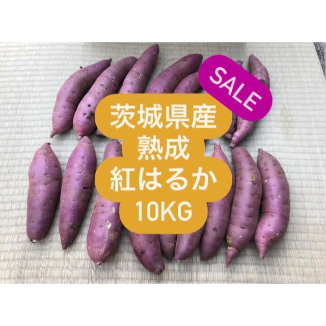 【訳あり】茨城県産無農薬さつまいも紅はるか10kg