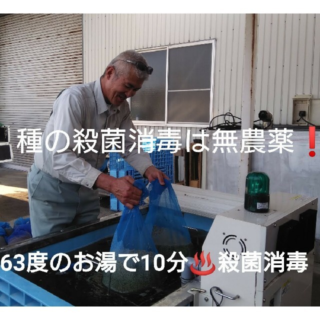 自然栽培 無農薬 氷温熟成 はえぬき３年産 山形県産 庄内米 玄米２５kg