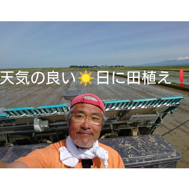 自然栽培 無農薬 氷温熟成 はえぬき３年産 山形県産 庄内米 玄米２５kg