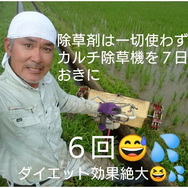 自然栽培 無農薬 氷温熟成 はえぬき３年産 山形県産 庄内米 玄米２５kg