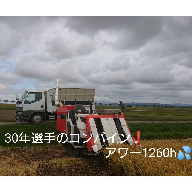 自然栽培 無農薬 氷温熟成 はえぬき３年産 山形県産 庄内米 玄米２５kg