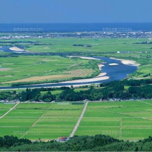 自然栽培 無農薬 氷温熟成 はえぬき３年産 山形県産 庄内米 玄米２５kg