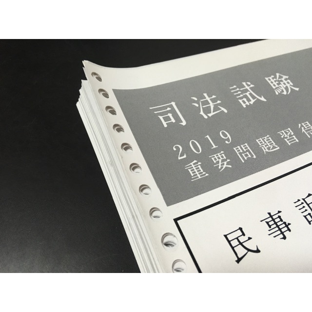 アガルート　2019 司法試験　重要問題習得講座　民事訴訟法テキスト