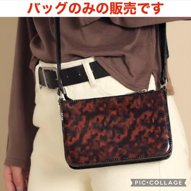 ANAP(アナップ)のCHILLEanap べっ甲風ミニショルダーバッグ  チルアナップ　アナップ レディースのバッグ(ショルダーバッグ)の商品写真