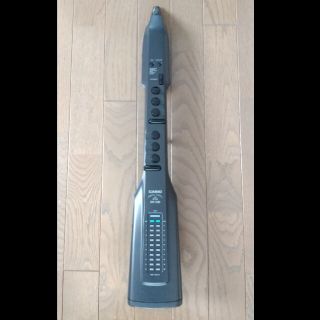 CASIO - CASIO デジタルホーン DH-280 別売ROMパック付の通販 by こつ