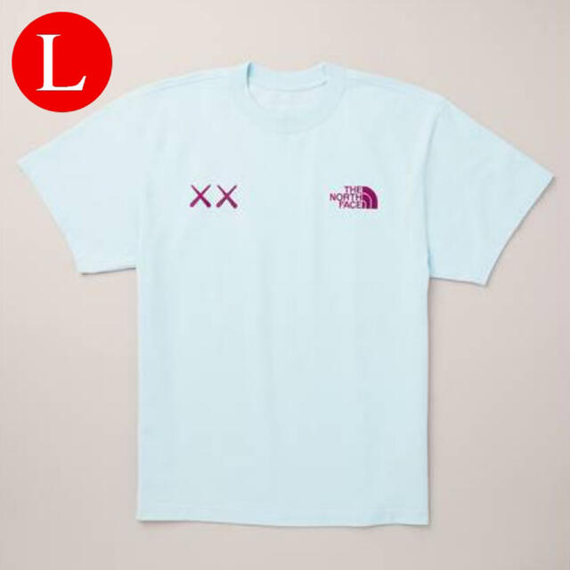 THE NORTH FACE XX KAWS SS TEE ICE BLUE