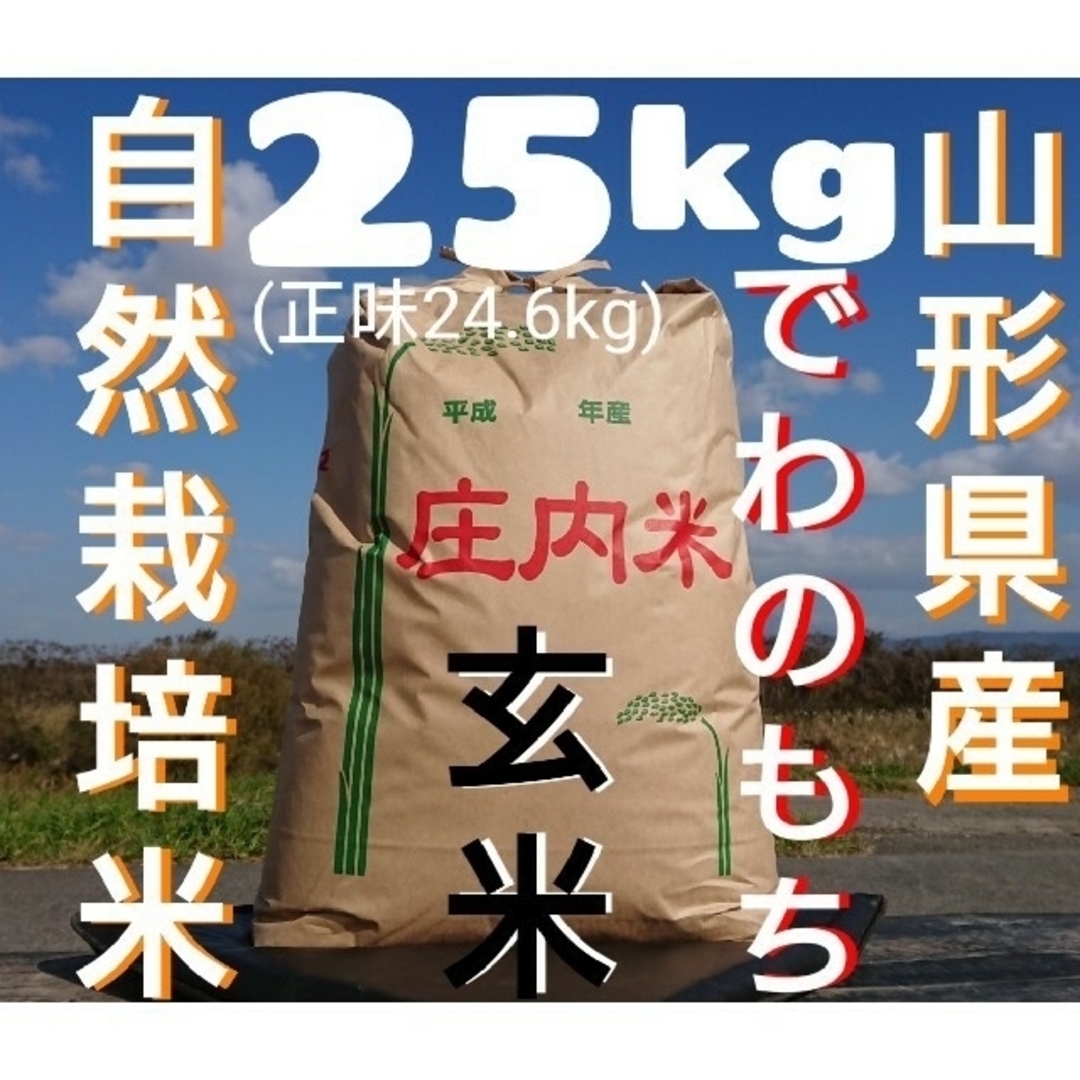 氷温熟成　山形県産　玄米２５kg　無農薬　庄内米　でわのもち４年産　自然栽培　ブランド雑貨総合