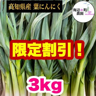 高知県産【高級食材♪葉ニンニク】3kg   産地直送！　即購入OKです。(野菜)