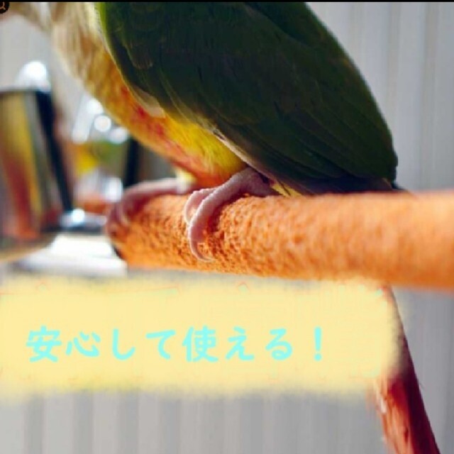 セロリ様専用 鳥 とまり木 サンドパーチ 1.5cm×20cm 2本セット その他のペット用品(鳥)の商品写真