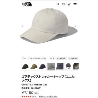 ザノースフェイス(THE NORTH FACE)のTHE NORTH FACE⭐︎キャップ ゴアテックストレッカーキャップ(キャップ)