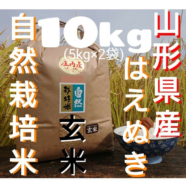 自然栽培　庄内米　はえぬき３年産　玄米10kg　無農薬　米/穀物　氷温熟成　山形県産