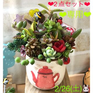 多肉植物❤︎寄せ植え❤︎リメイク鉢❤︎赤いポット鉢とボタン鉢❤︎２点セット♪(その他)