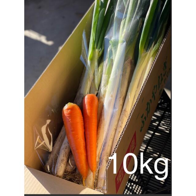 ネギ　10kg  深谷ネギ 食品/飲料/酒の食品(野菜)の商品写真