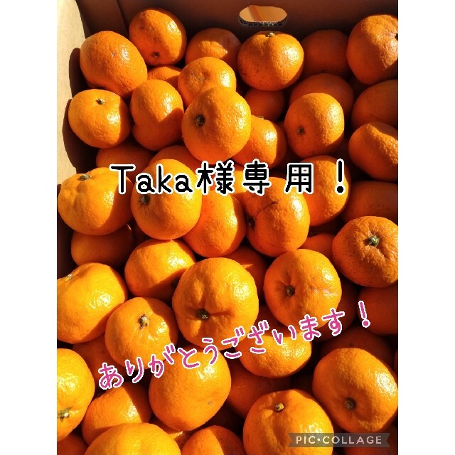 特定 DanDanDan様専用です - totallytankerinteriors.trucktub.com